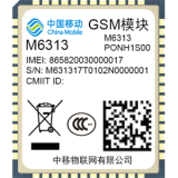 M6313（GSM,2018）