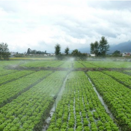 智能节水灌溉